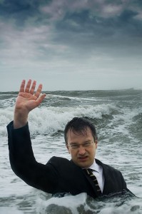 robinince
