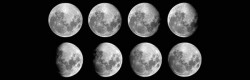 Florian Lunaire
