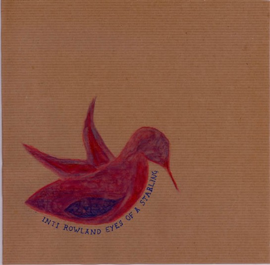 Inti Rowland - Eyes of a Starling