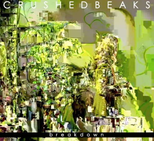 Crushed Beaks - Breakdown